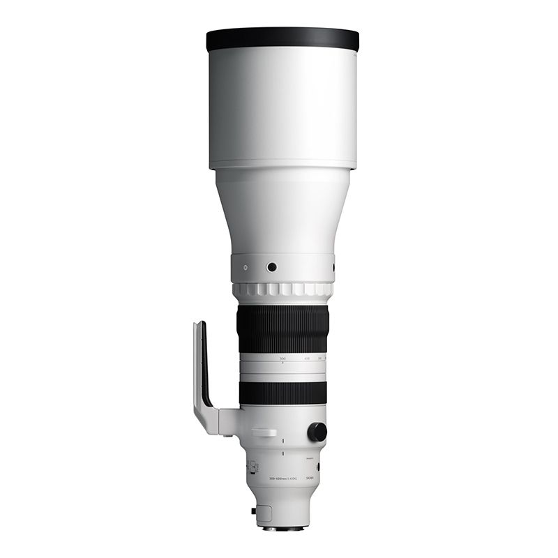 Sigma DG 300-600mm 4.0 OS Sports zu Sony E