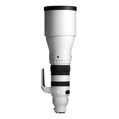 Sigma DG 300-600mm 4.0 OS Sports zu Sony E