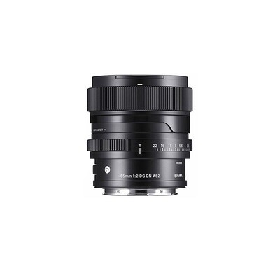 Sigma DG 65mm 2.0 DN C zu Sony E Sigma DG 65mm 2.0 DN C zu Sony E