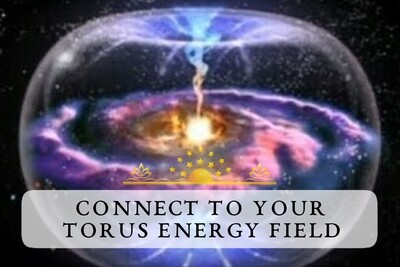 Connect to Your Torus Electro Magnetic Energy Field