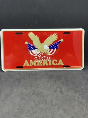 America License Plate