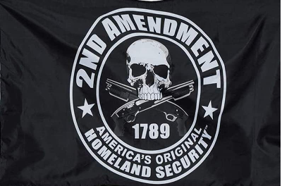 Flags 3x5 2nd Amendment 1789 Skull