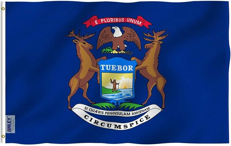 Flags 3x5 Michigan State Flag