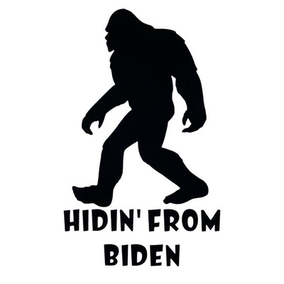 AP Hidin' From Biden Mini Decal