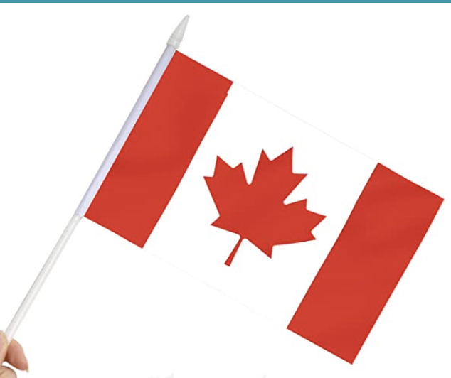 Mini Canadian Flag