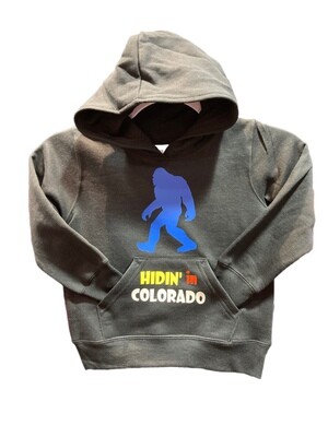 Hidin in Colorado Hoodie Black Kids