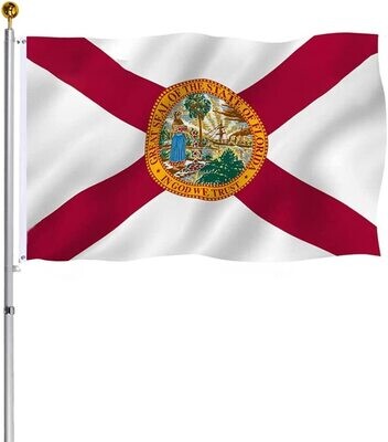 Flags 3X5 Florida