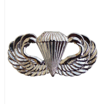 Specific Military Lapel Pins