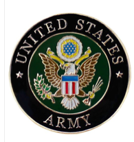 Military Branch Lapel Pins