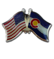 State Flag/ US Flag Lapel Pins