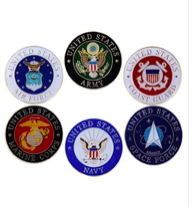 Military Branch Lapel Pins