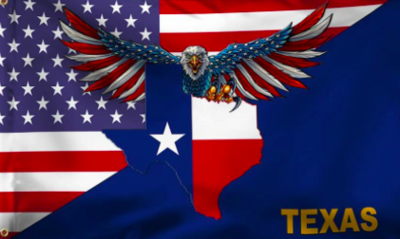 Flags 3X5 USA/Texas