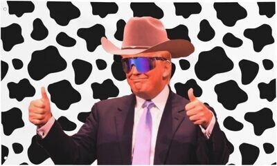 Flags 3X5 Trump Cow Print Cowboy Flags 3X5 Trump Cow Print Cowboy