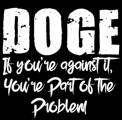 DOGE Decal (Part of the Problem)