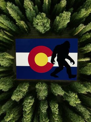 Bigfoot Colorado Sticker 3X2