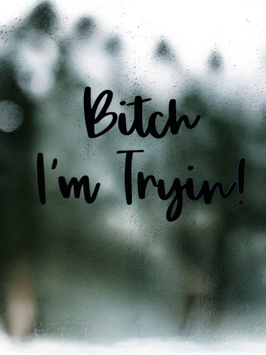 Bitch I'm Tryin Decal