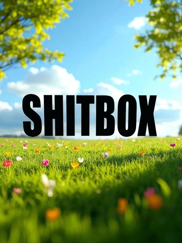 Shitbox "word" Decal