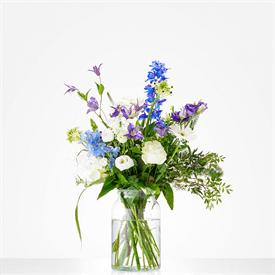 Fris blauw / wit
