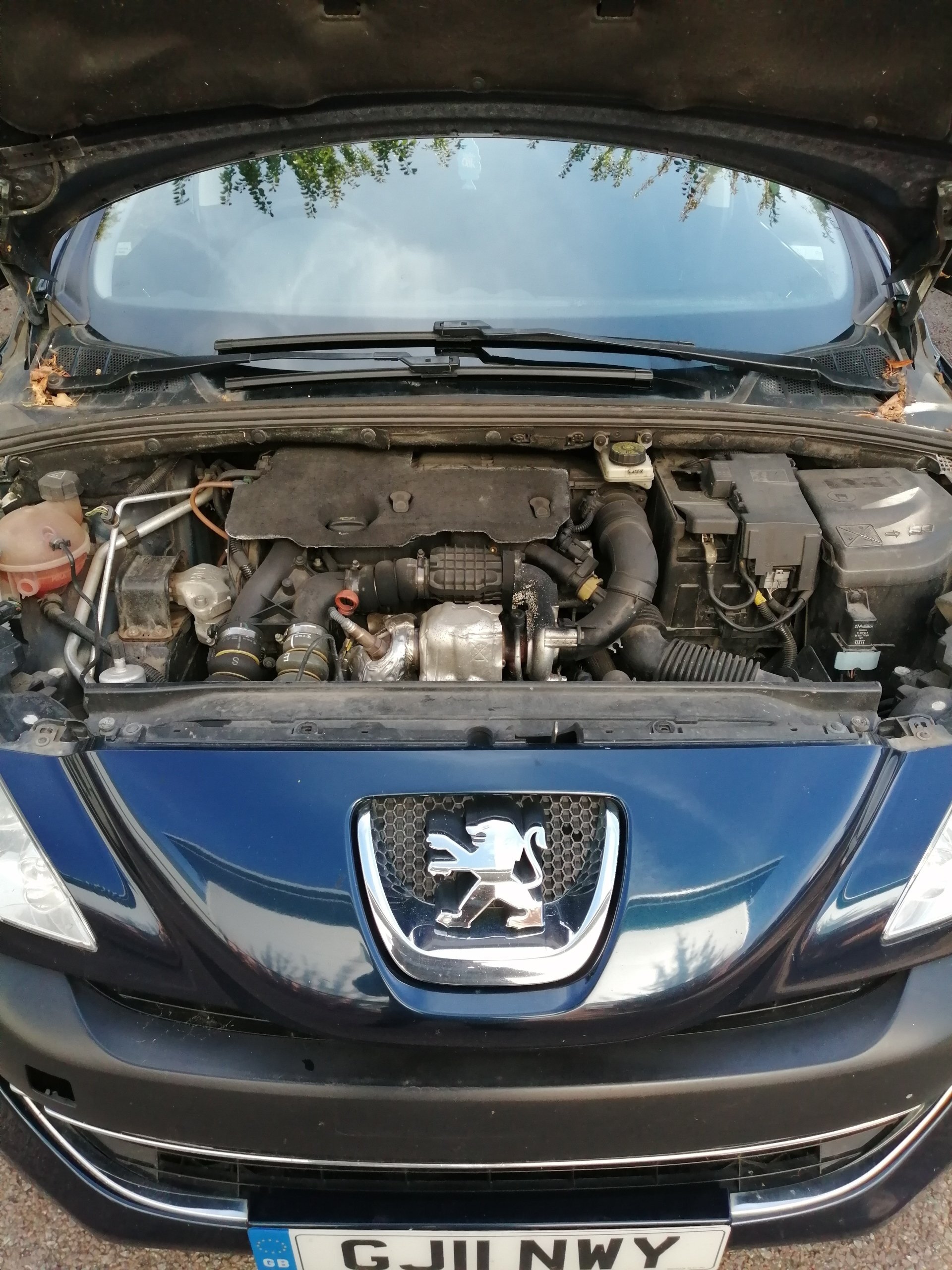 Independent used car dealer in High NUS Motors