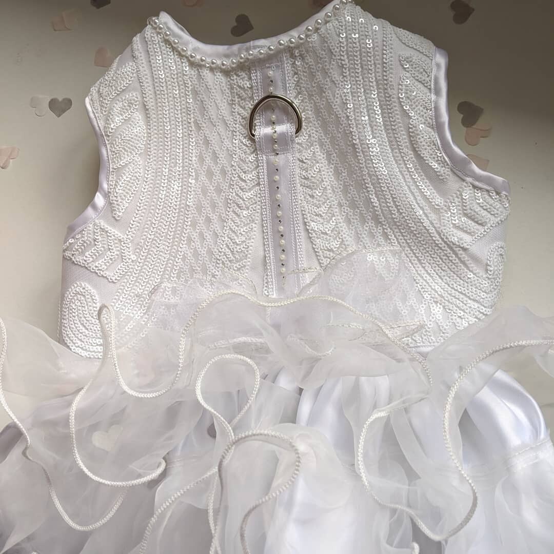 Bridal / Bridesmaid Dress Harness