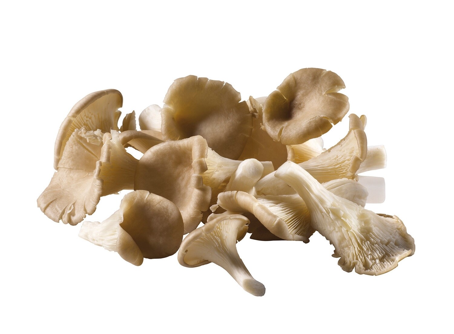 Groenten: Kapelhof mix champignons Groenten: Kapelhof mix champignons
