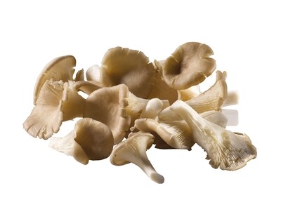 Groenten: Kapelhof mix champignons 500gr