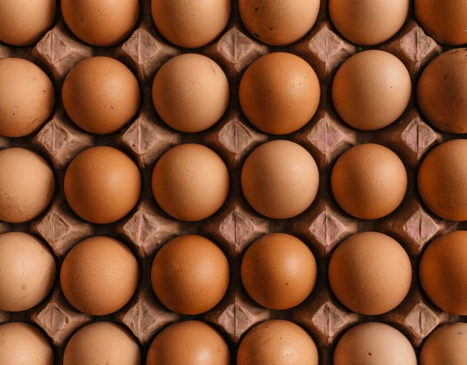 Ei: Oosthof 6 eieren Ei: Oosthof 6 eieren