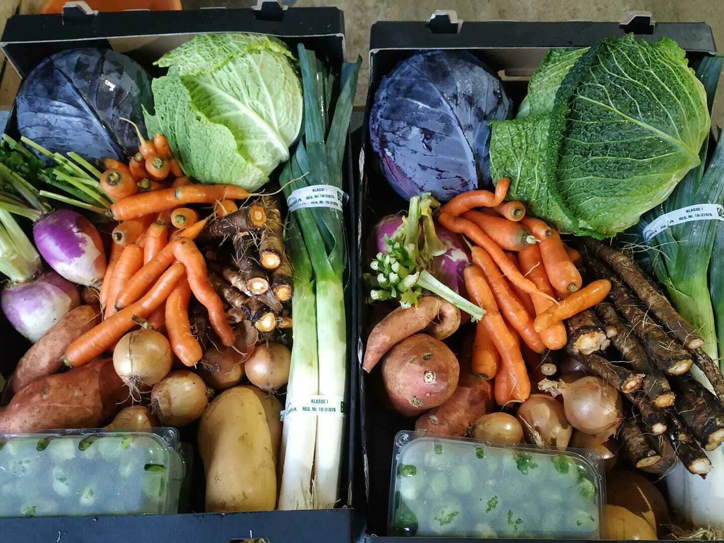 Groenten: Oosthof pakket 2kg prei, 1kg wortelen, 1kg ajuin, 1 rode kool en 0.5kg spruitjes Groenten: Oosthof pakket 2kg prei, 1kg wortelen, 1kg ajuin, 1 rode kool en 0.5kg spruitjes