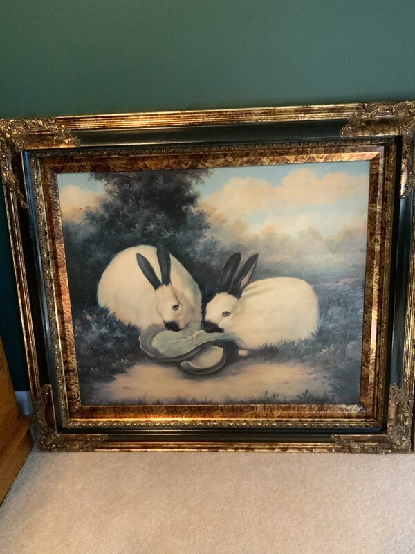 Two Himalayan Rabbits