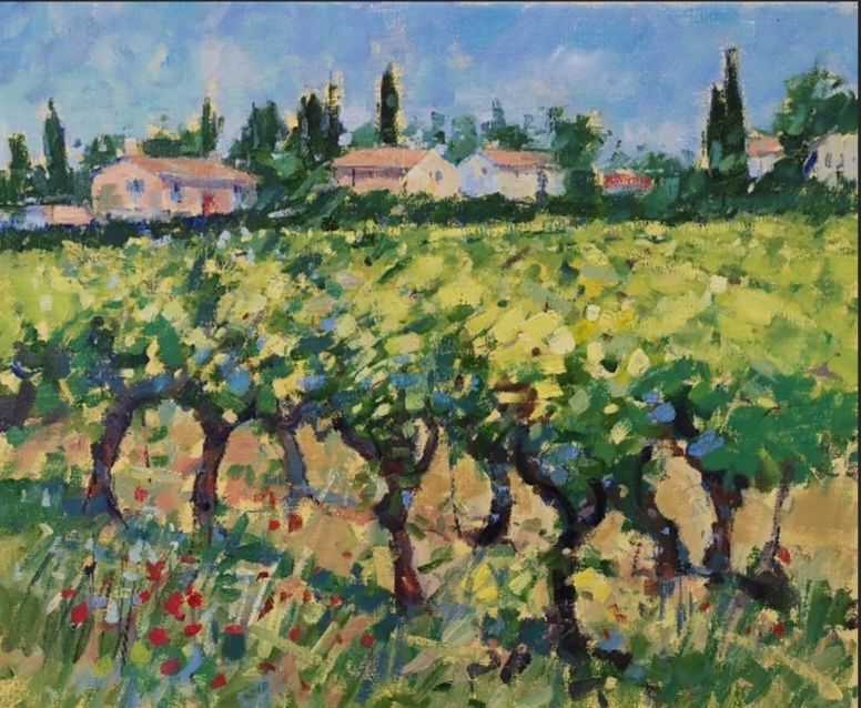 Vineyard near Uzes