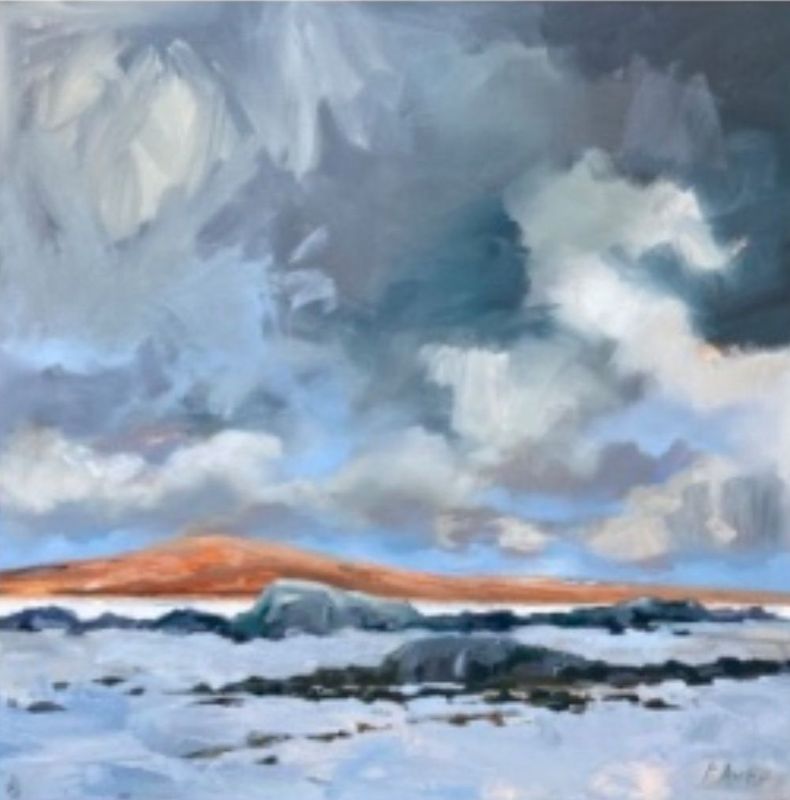 Rocky shoreline, Connemara