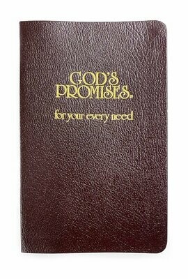 God's Promises for Your Need