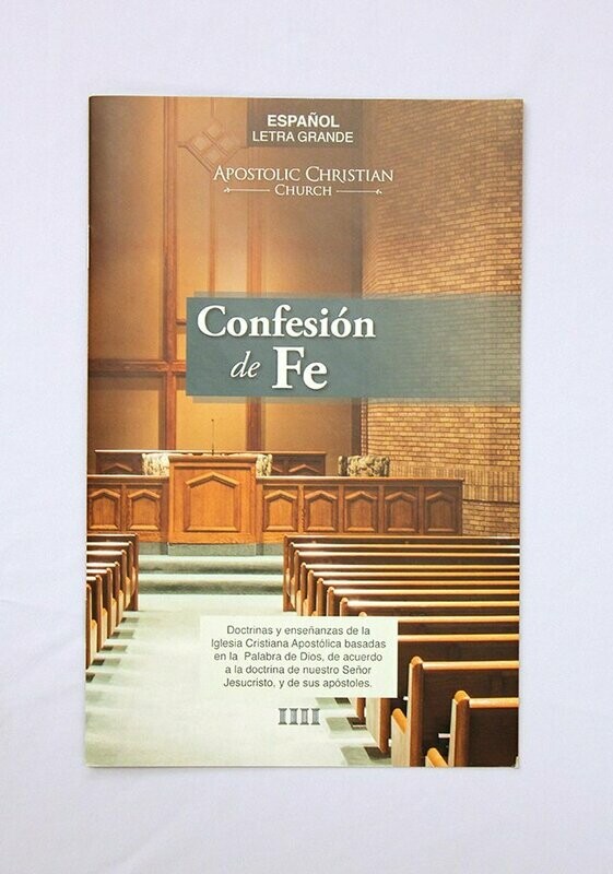 Statement of Faith, Large Print (Spanish), download