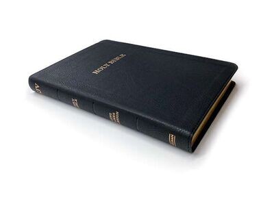 IMPERFECT - Holman Thin Line Bible