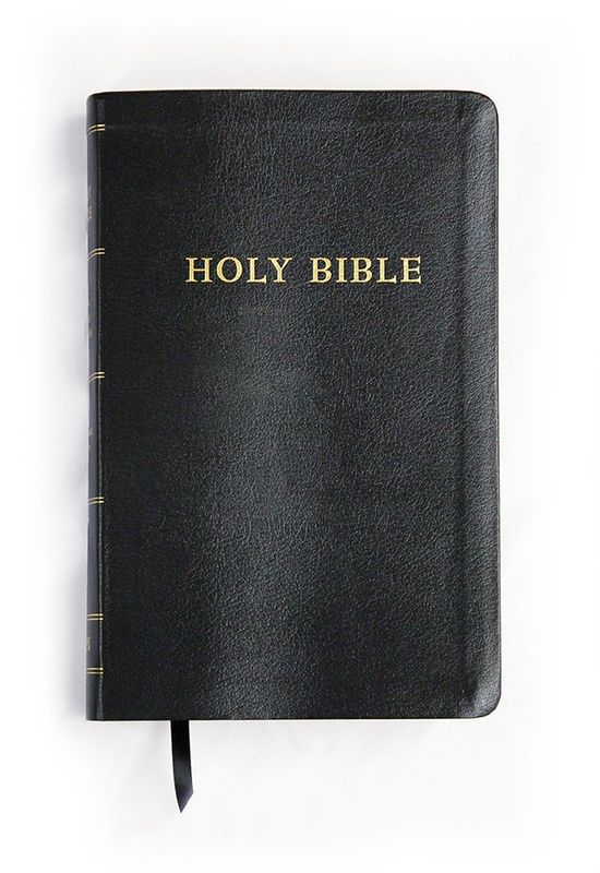 IMPERFECT - Hendrickson Personal Size Giant Print Reference Bible