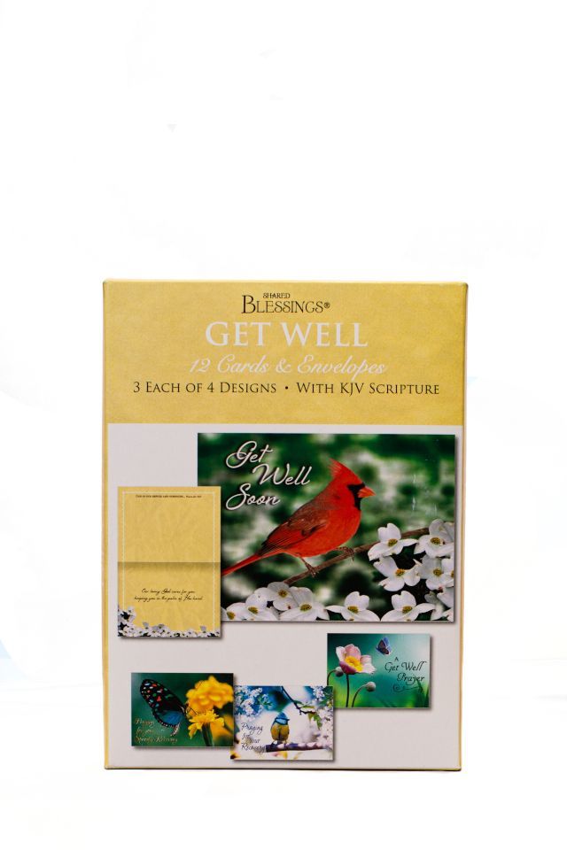 Birds & Butterflies Get Well Boxed Card Set