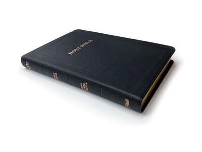 IMPERFECT - Holman Thin Line Bible IMPERFECT - Holman Thin Line Bible
