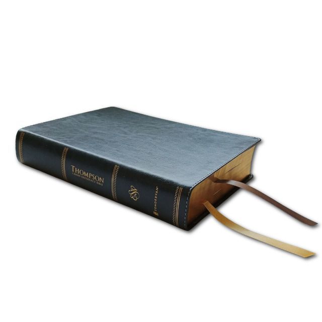 ESV - Thompson Chain Reference, gray, leathersoft