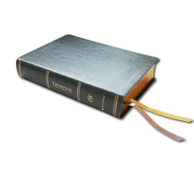 ESV - Thompson Chain Reference, gray, leathersoft