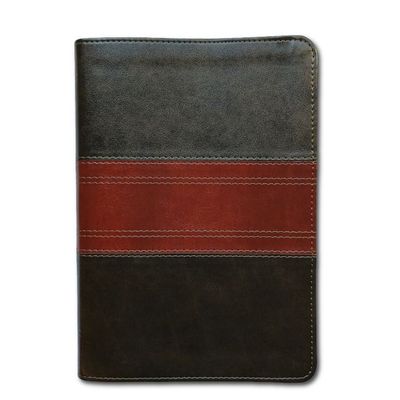 ESV Large Print Personal Size Bible, Red Letter, Thumb Indexed, 2 Tone ESV Large Print Personal Size Bible, Red Letter, Thumb Indexed, 2 Tone