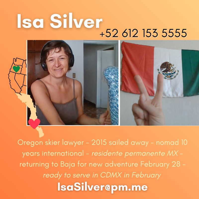 Joyful Domestic Support in CDMX