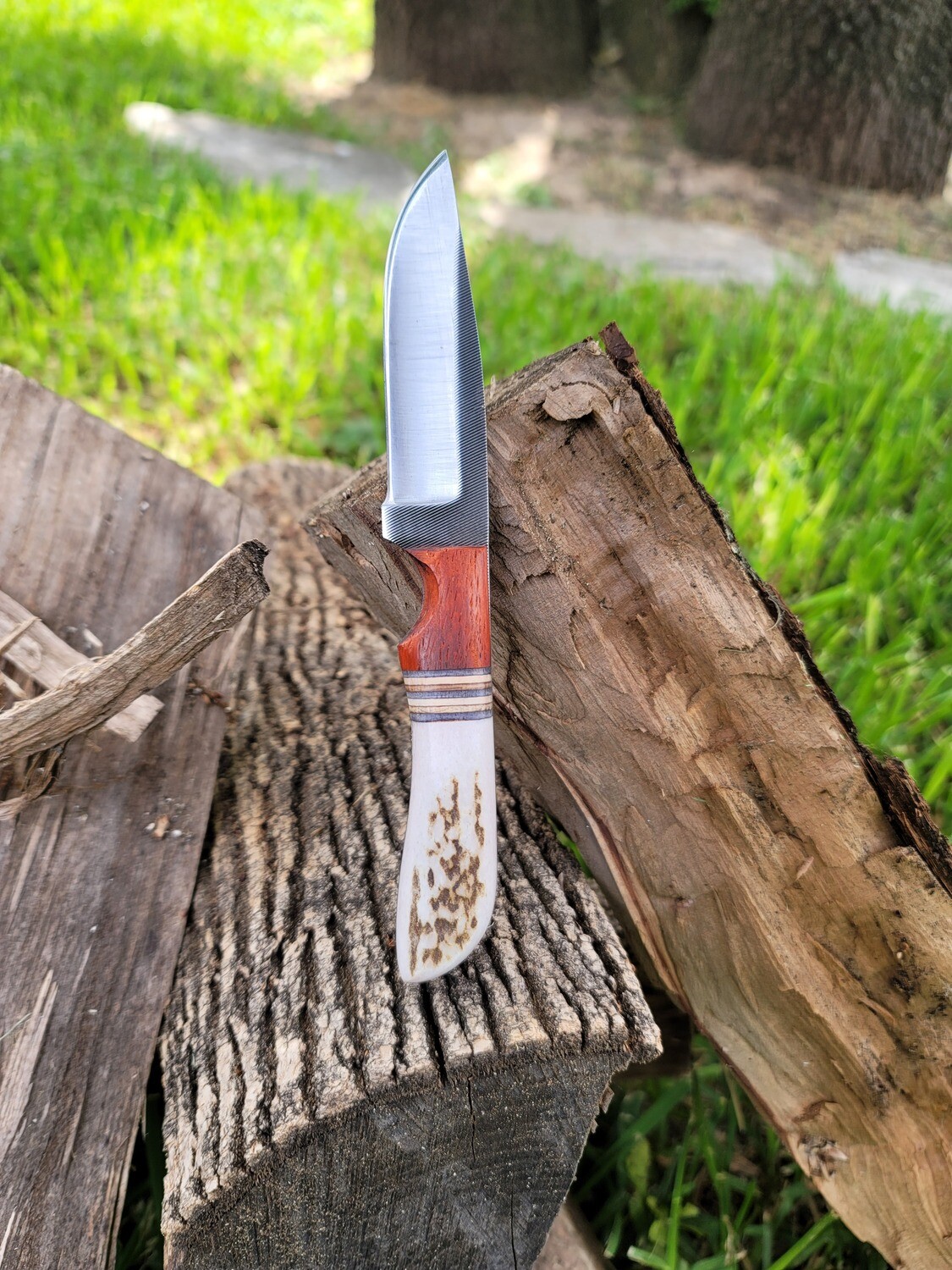 ANZA Padauk Wood with Elk Bone Handle