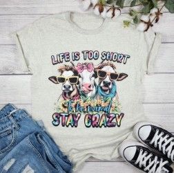 Life is too Short Stay Crazy