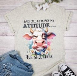 Check Attitude - Still There