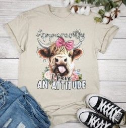 Apparently I have an Attitude