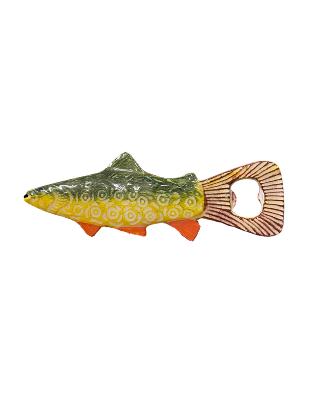 Flesopener vis