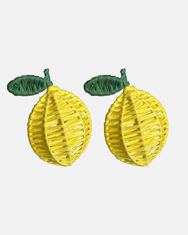 Set van citroen raffia servetringen