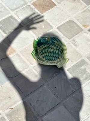 Visbord in groen