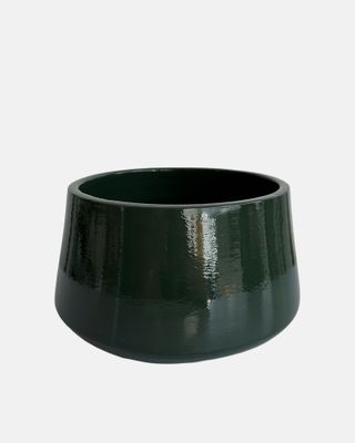 Schaal Cadenza L groen