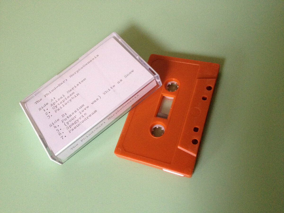 Cassette MorphoGenesis